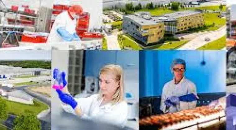 Magazynier - Operator Wózka Widłowego