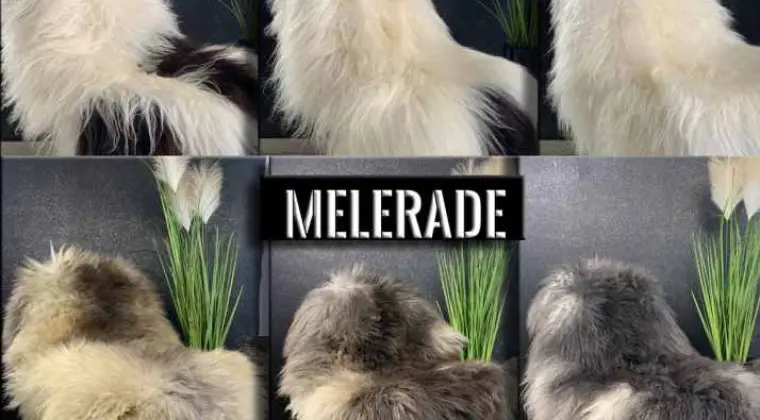 A wide selection of soft and high quality sheepskins. Purely natural and 100% BIO.