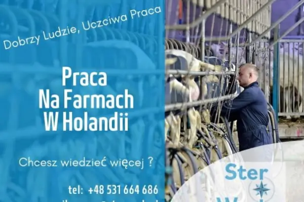 Praca na gospodarstwie - Dojarz - Produkcja mleczna