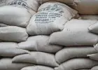 Kawa zielona – niepalona, Robusta 100% (Wietnam)