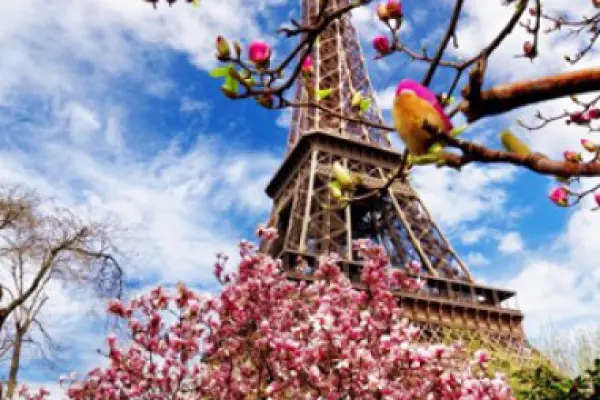 JĘZYK FRANCUSKI - lekcje, konwersacje