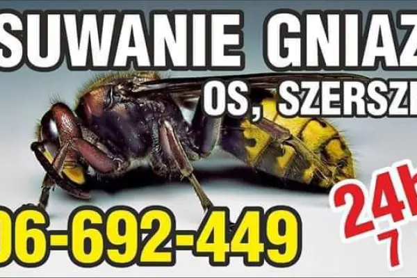 Osy Szerszenie- usuwanie likwidacja gniazd os szerszeni (śląskie 24/7)