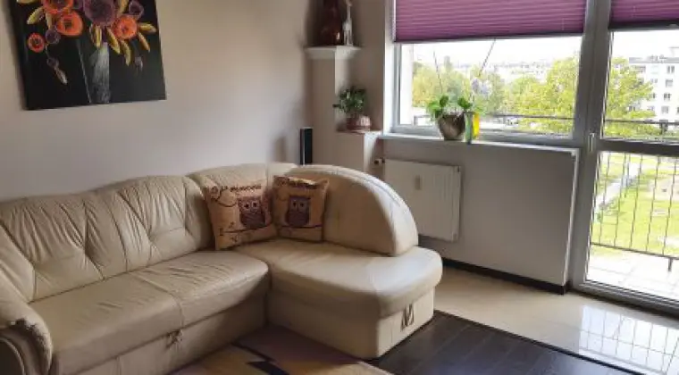 Słoneczne i umeblowane 2-pokojowe mieszkanie na sprzedaż