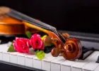 Nauka gry na Skrzypcach i Pianinie w każdym wieku!