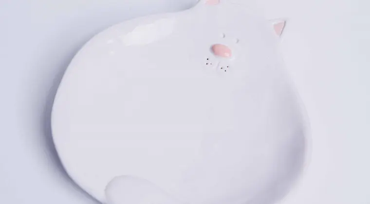 Biały talerzyk deserowy kot - Rękodzieło na prezent - Lamabo Ceramics