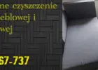 Profesjonalne czyszczenie tapicerki meblowej i samochodowej