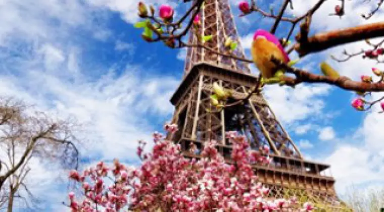 JĘZYK FRANCUSKI - lekcje, konwersacje