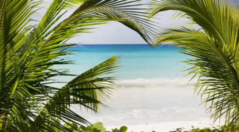 Najlepsze wakacje pod słońcem – Costa Blanca, to California Europy…