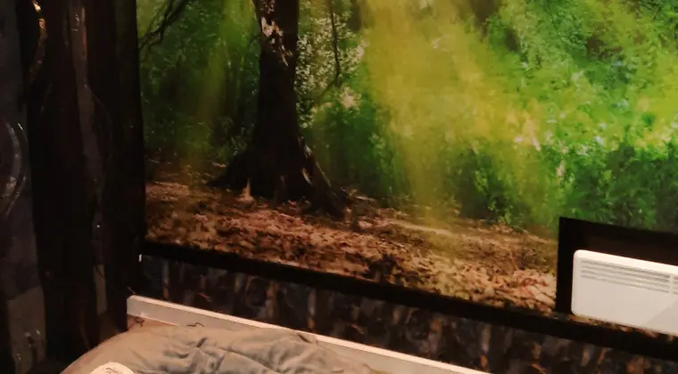 Pokoj w Rotterdam dla kobiety