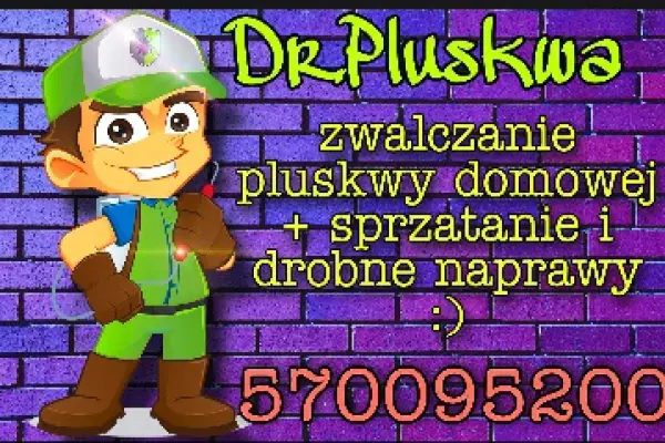 Dezynsekcja