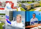 Magazynier - Operator Wózka Widłowego