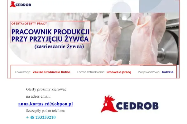 Pracownik produkcji (zawieszanie żywca) Kutno