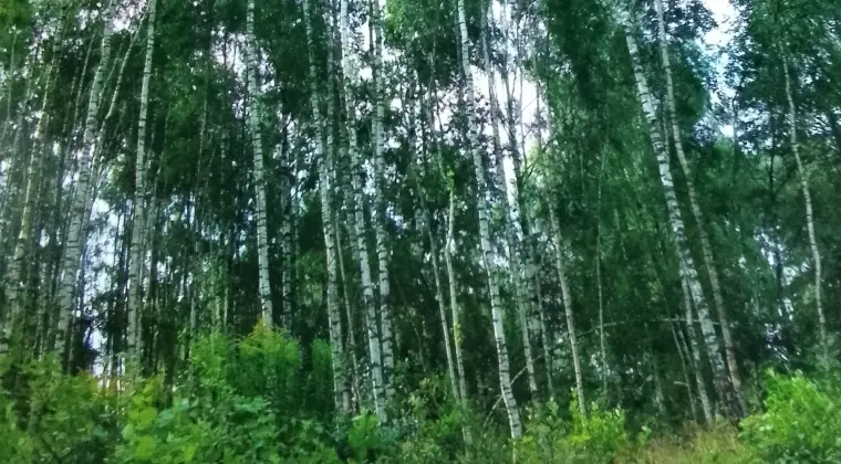 Sprzedam działkę warmińsko-mazurskie Mam do sprzedania