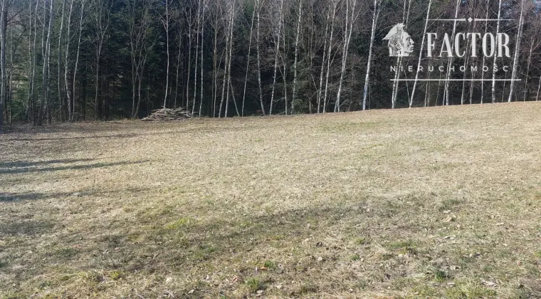 Widokowa działka budowlana 12,79 ara – Bieśnik, gm. Łużna 1183S/2026