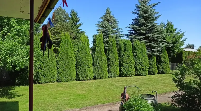 Działkę ROD Rybnica sprzedam