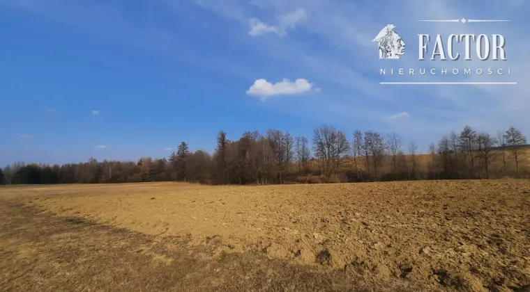 Działka budowlano-rolna 20 ar, Dominikowice 1182S