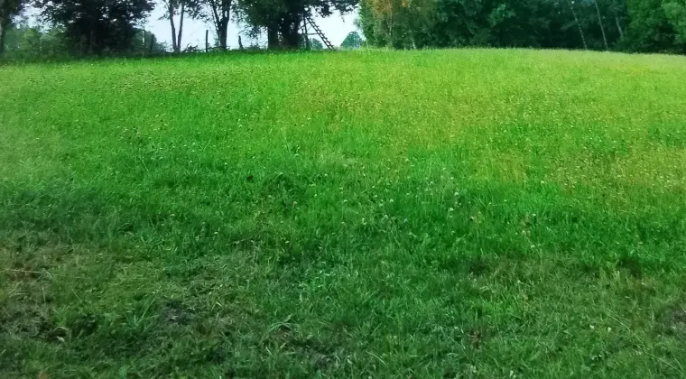 Sprzedam działkę warmińsko-mazurskie Mam do sprzedania