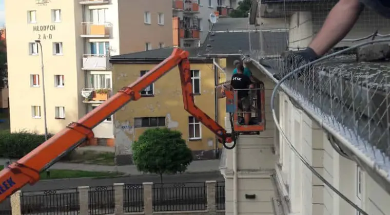 ochrona przed ptakami kolce na ptaki sprzedaż montaż Bydgoszcz