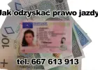 Jak odzyskać prawo jazdy?