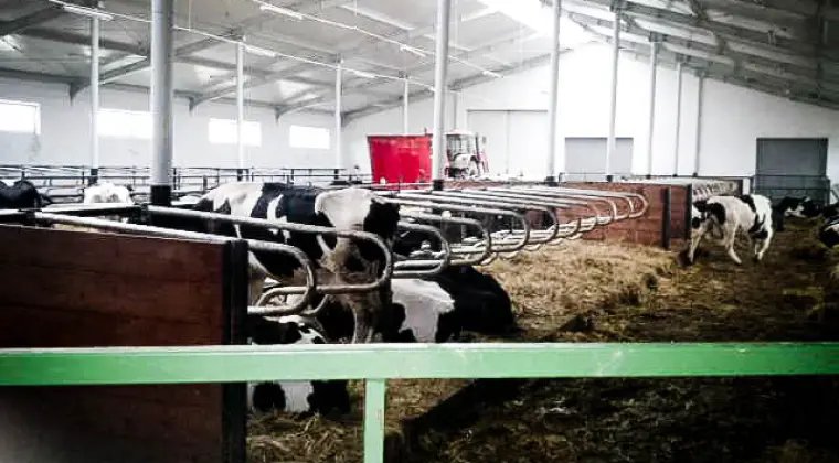 brukarz układanie kostki brukowej Bydgoszcz Jarbet