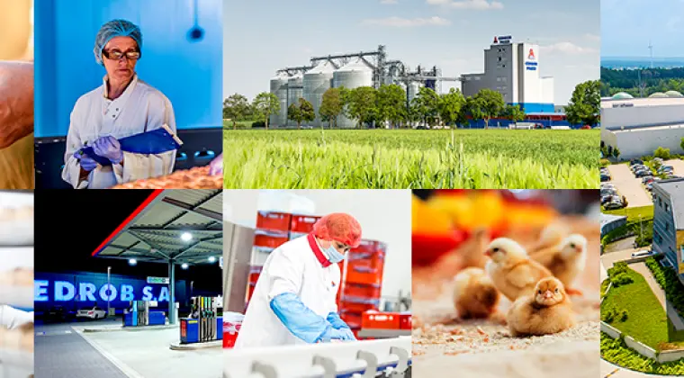 Operator wózka widłowego (K/M) w sekcji załadunku drobiu