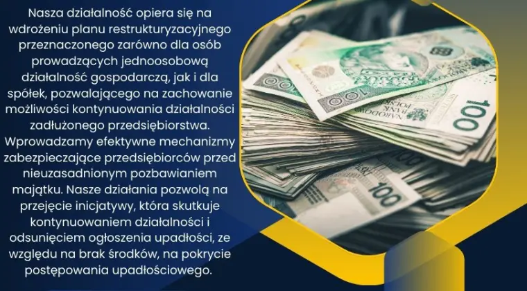 Skup Spółek Zadłużonych / Działalność Gospodarcza ?