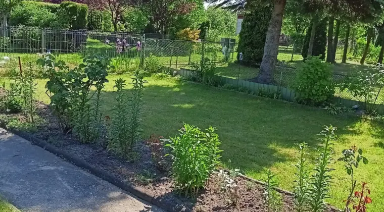 Działkę ROD Rybnica sprzedam