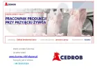 Pracownik produkcji przy przyjęciu żywca Kutno