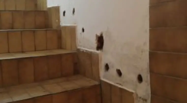 Osuszanie budynków osuszanie fundamentów izolacja fundamentów