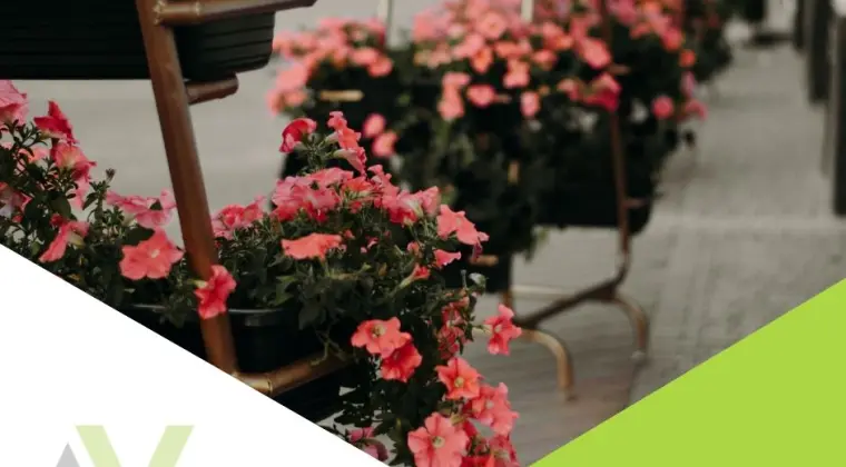 Praca w Holandii- Rotterdam od zaraz! Produkcja, ogrodnictwo