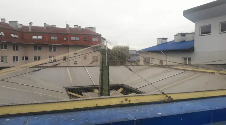 ochrona przed ptakami kolce na ptaki sprzedaż montaż Bydgoszcz