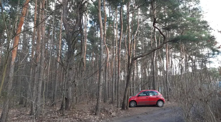 Działka lesna w Warszawie, nieopodal trasy Mostu południowego NA lokatę kapitału i INWESTYCJĘ w przyszłości!
