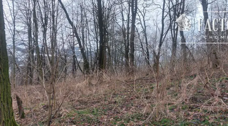 Duża działka z budynkiem gospodarczym – 80 arów, Sędziszowa