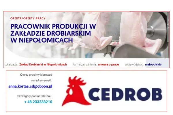 Pracownik produkcji w Zakładzie Drobiarskim w Niepołomicach