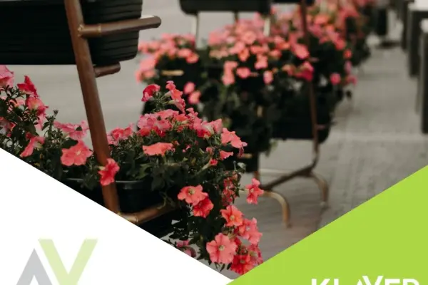 Praca w Holandii- Rotterdam od zaraz! Produkcja, ogrodnictwo