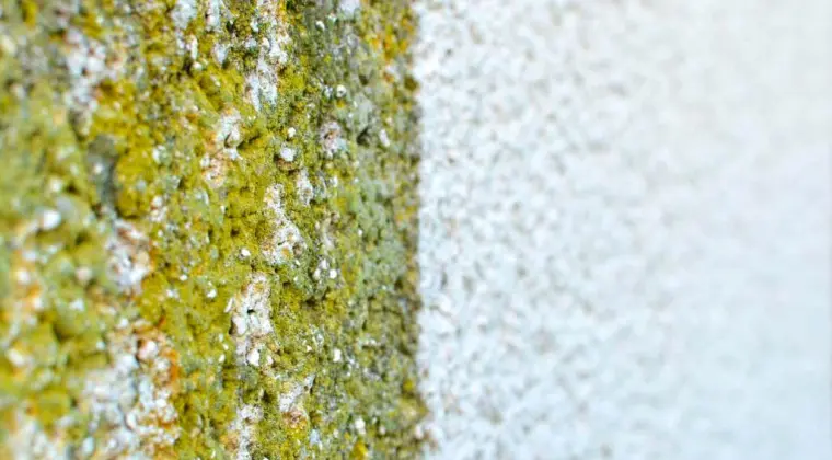 Mycie elewacji Słupsk. Mycie elewacji Ustka. CleanTECH - Usługi mycia ciśnieniowego