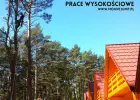 Ścinka drzew, ścinka sekcyjna prace alpinistyczne
