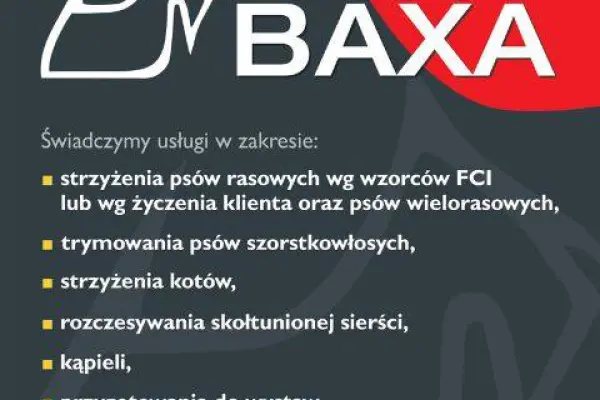 Strzyżenie psów Baxa Tarnów tel.735170959