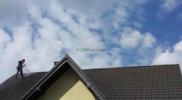 Mycie i malowanie dachów