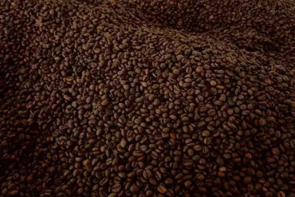 Kawa palona ziarnista 100% Arabica (Brazylia)