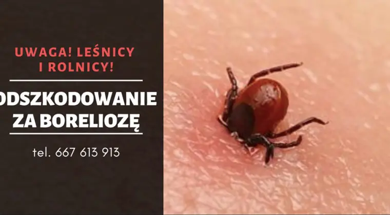 Odszkodowanie za boreliozę