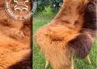A wide selection of soft and high quality sheepskins. Purely natural and 100% BIO.