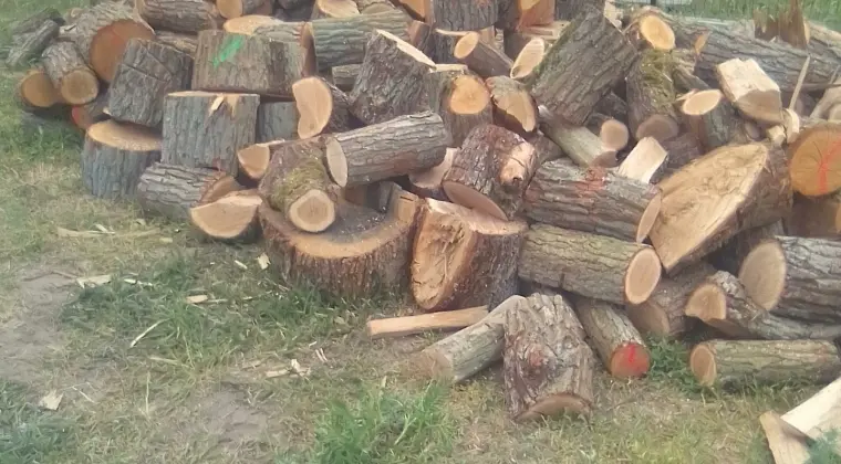 Cięcie drewna opałowego