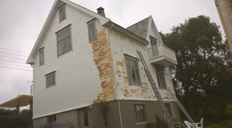 Malowanie Elewacji / Dachów / Mycie Elewacji / Domów - Natryskowo / tradycyjnie