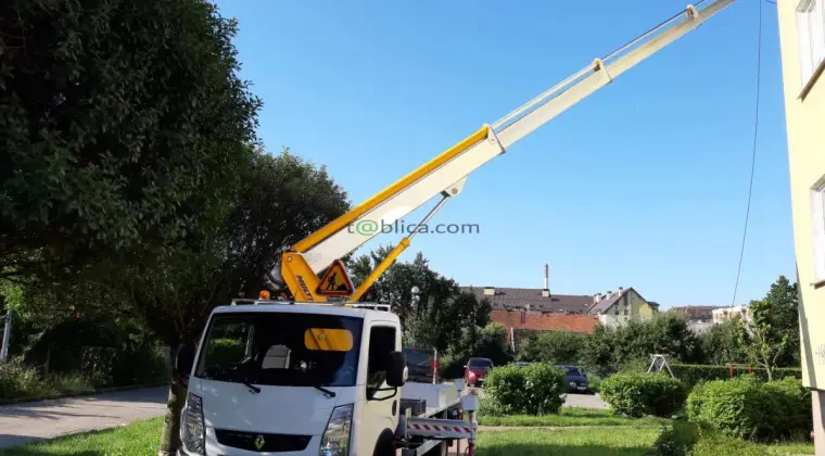 Sekcyjna ścinka drzew