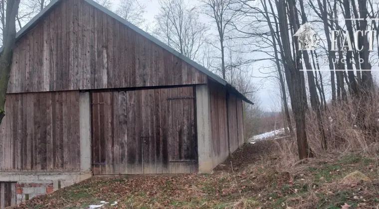 Duża działka z budynkiem gospodarczym – 80 arów, Sędziszowa